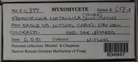 Image Associated With the Occurence